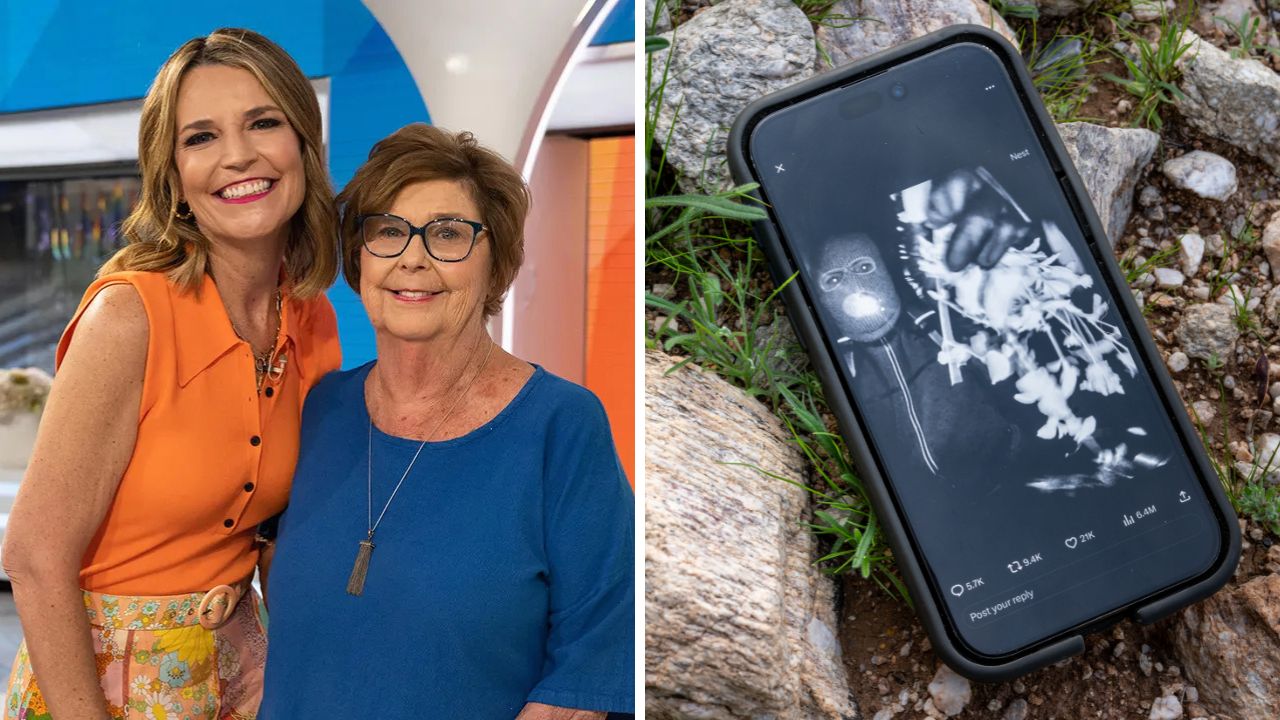 Nancy Guthrie kidnapper