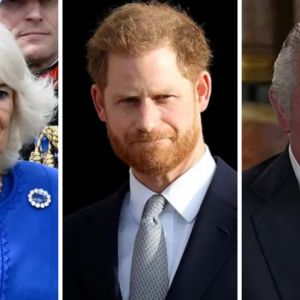Queen Camilla, Prince Harry, King Charles
